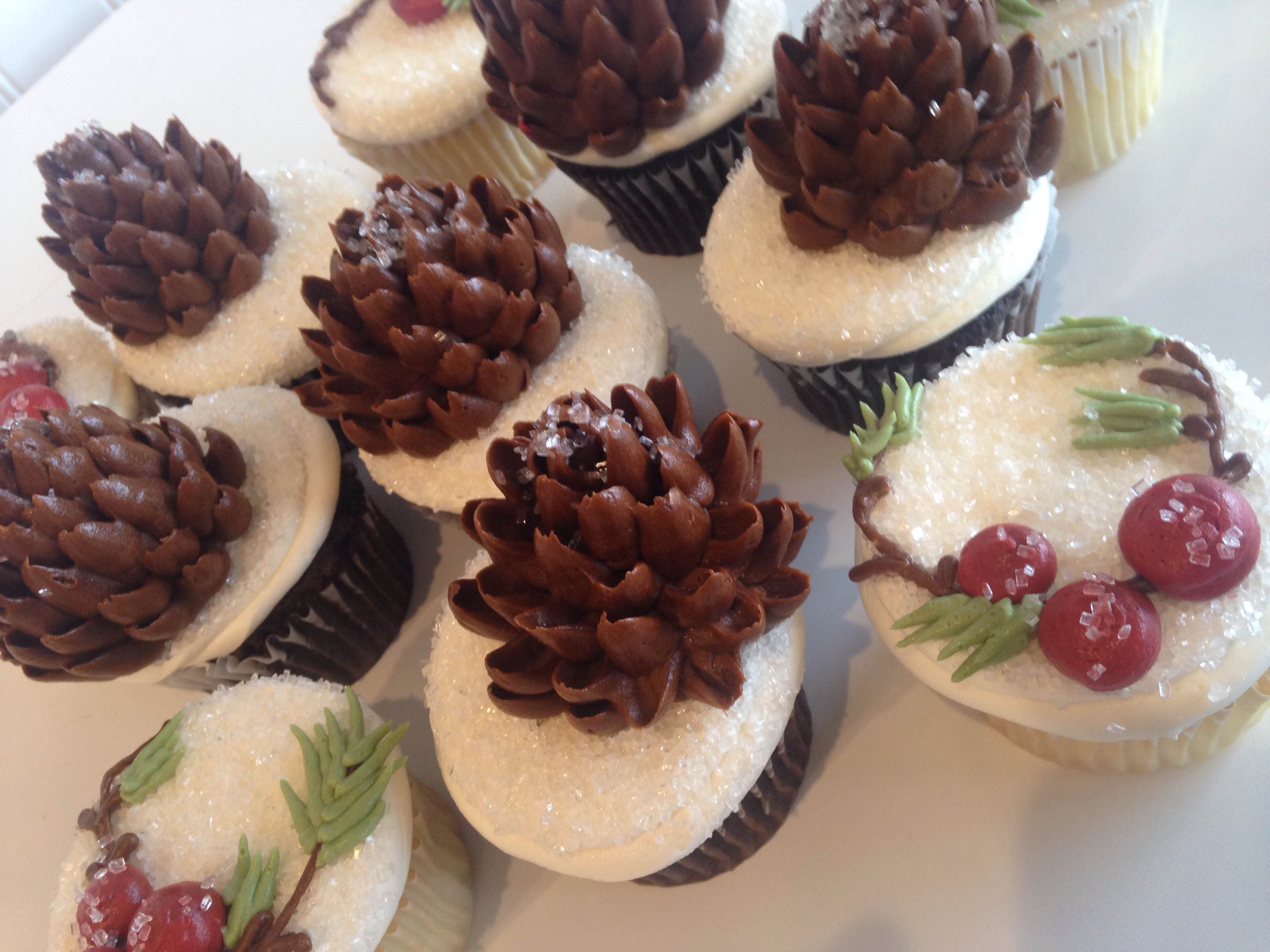 Frosted Sugar Pine Cones and Berries